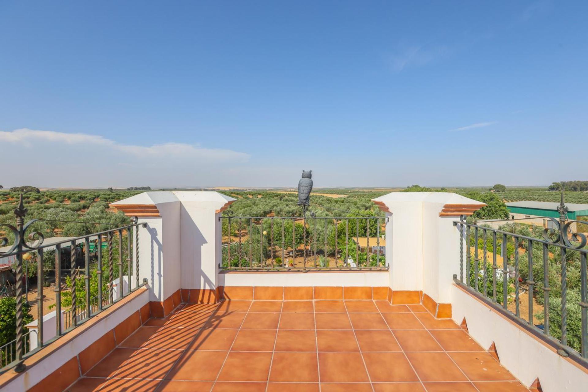 Casa Rural Los Miradores 마르체나 외부 사진