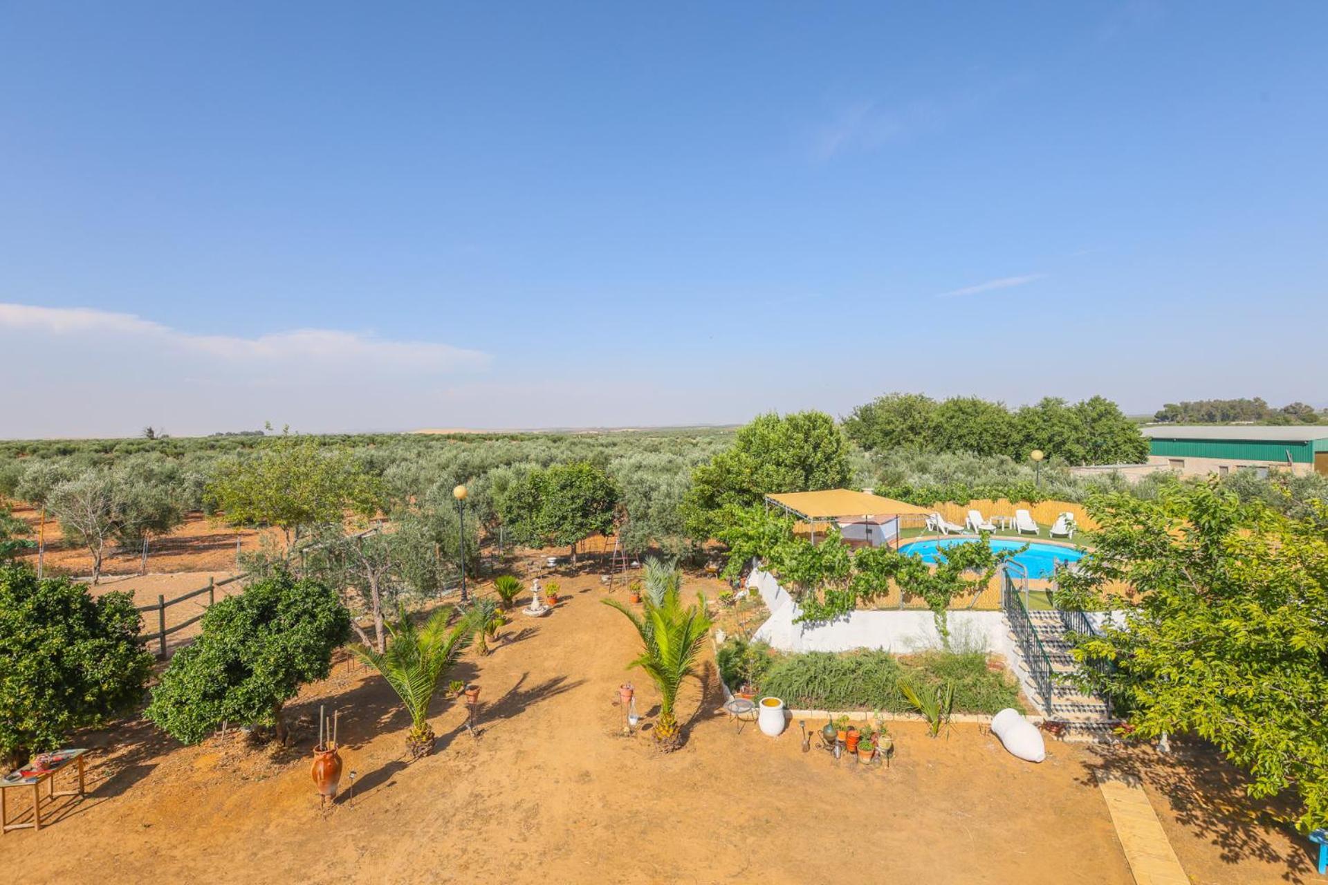 Casa Rural Los Miradores 마르체나 외부 사진