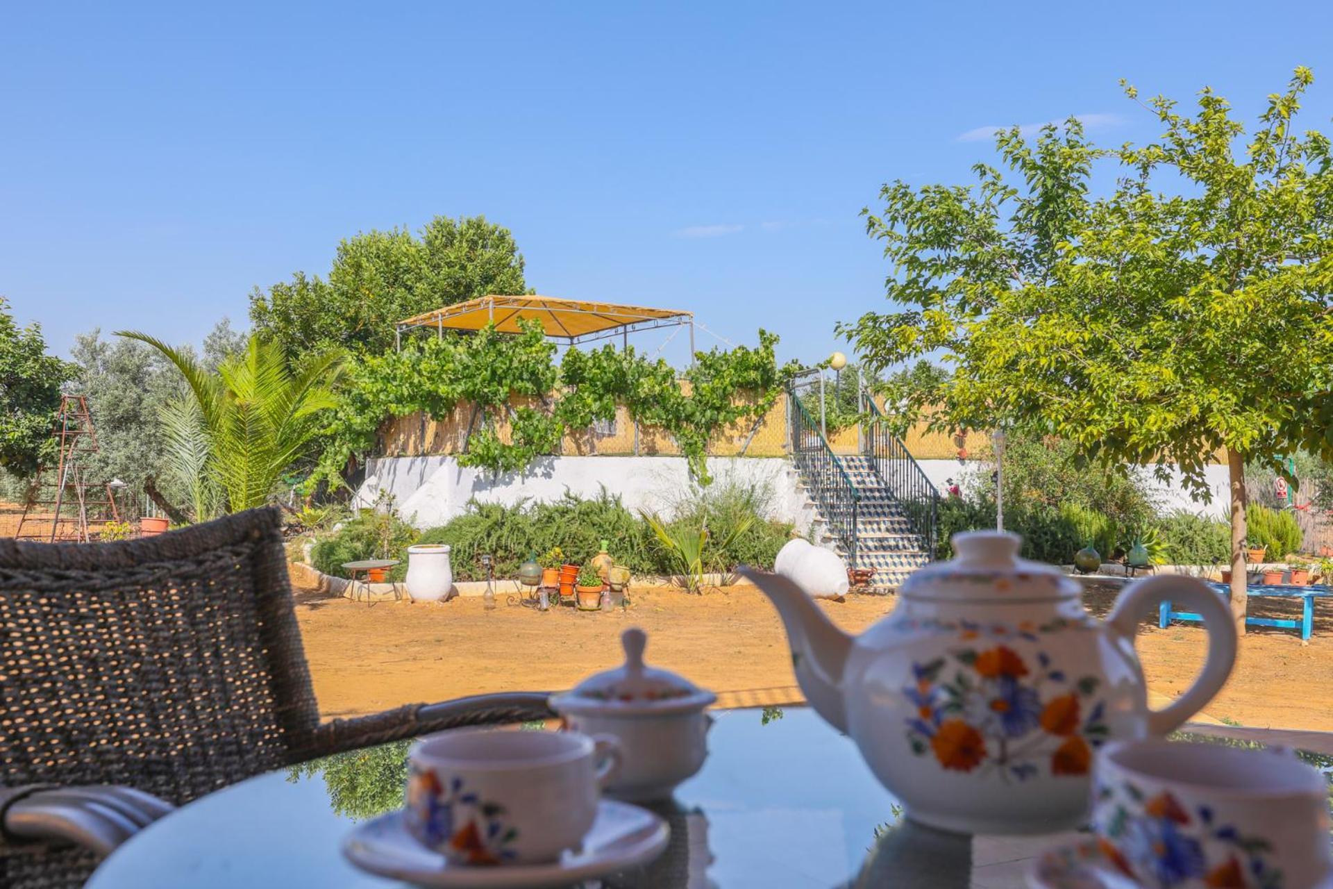 Casa Rural Los Miradores 마르체나 외부 사진