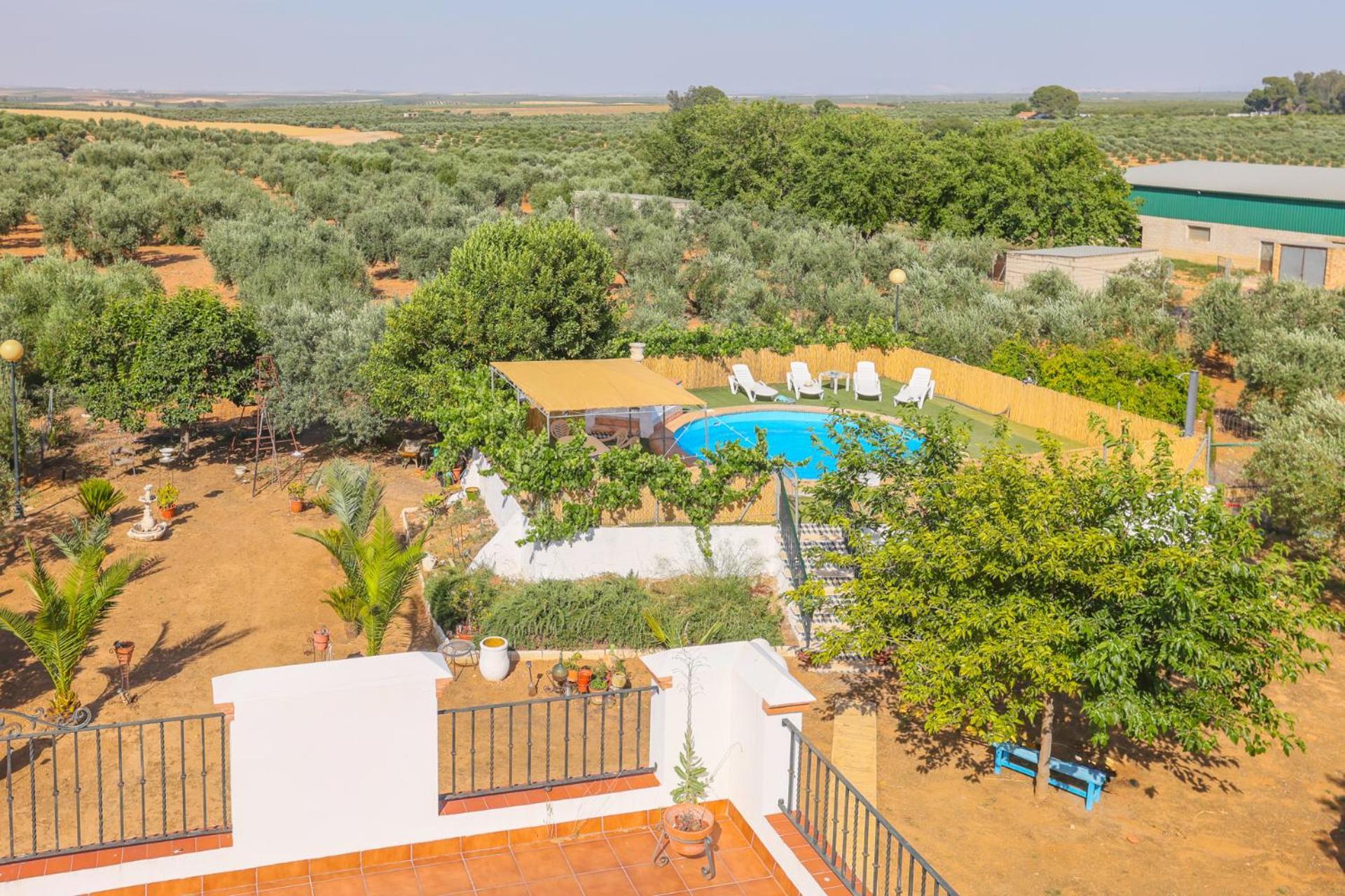 Casa Rural Los Miradores 마르체나 외부 사진